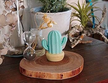 Decole Aroma Stone Cactus