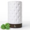 Earnest Living Essential Oil Diffusers for Essential Oils