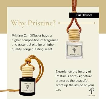 PRISTINE Maldives Villa Hotel Car Diffuser Made With Essential Oils Grapefruit Apple Ocean Breeze Hanging Vehicle Freshener