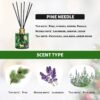 Christmas Reed Diffuser Set