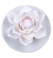 Essential Oil Passive Flower Diffuser Hibiscus
